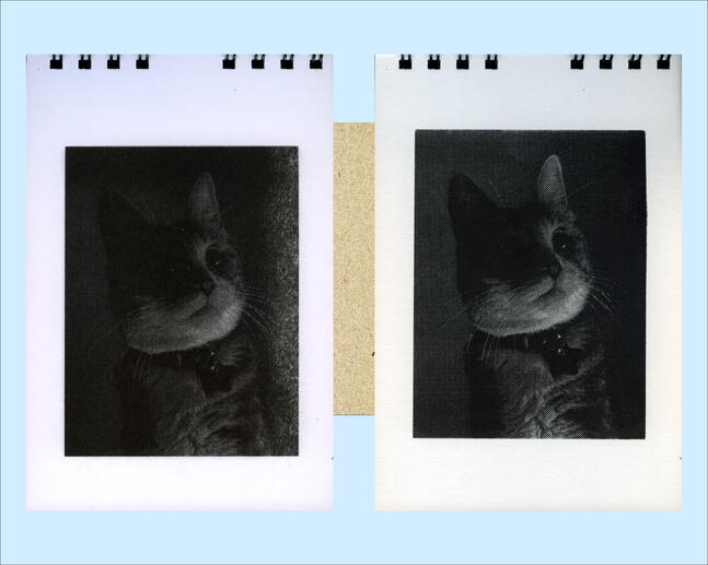 Untitled Untitled